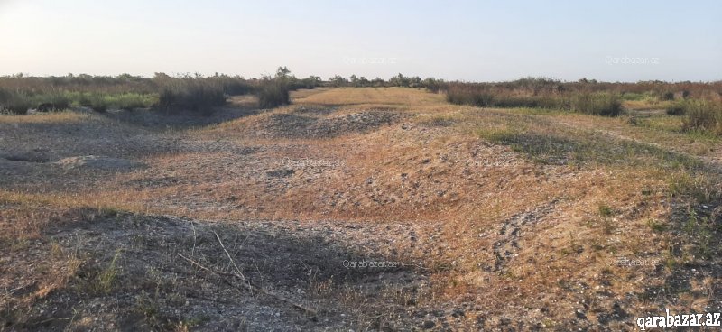 20 hektar erazi satílír Neftçalada