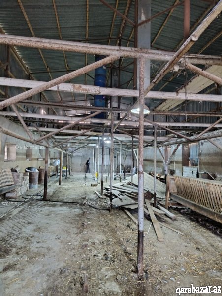Mehemmedli qesebesinde 1200kv anbar icareye verilir